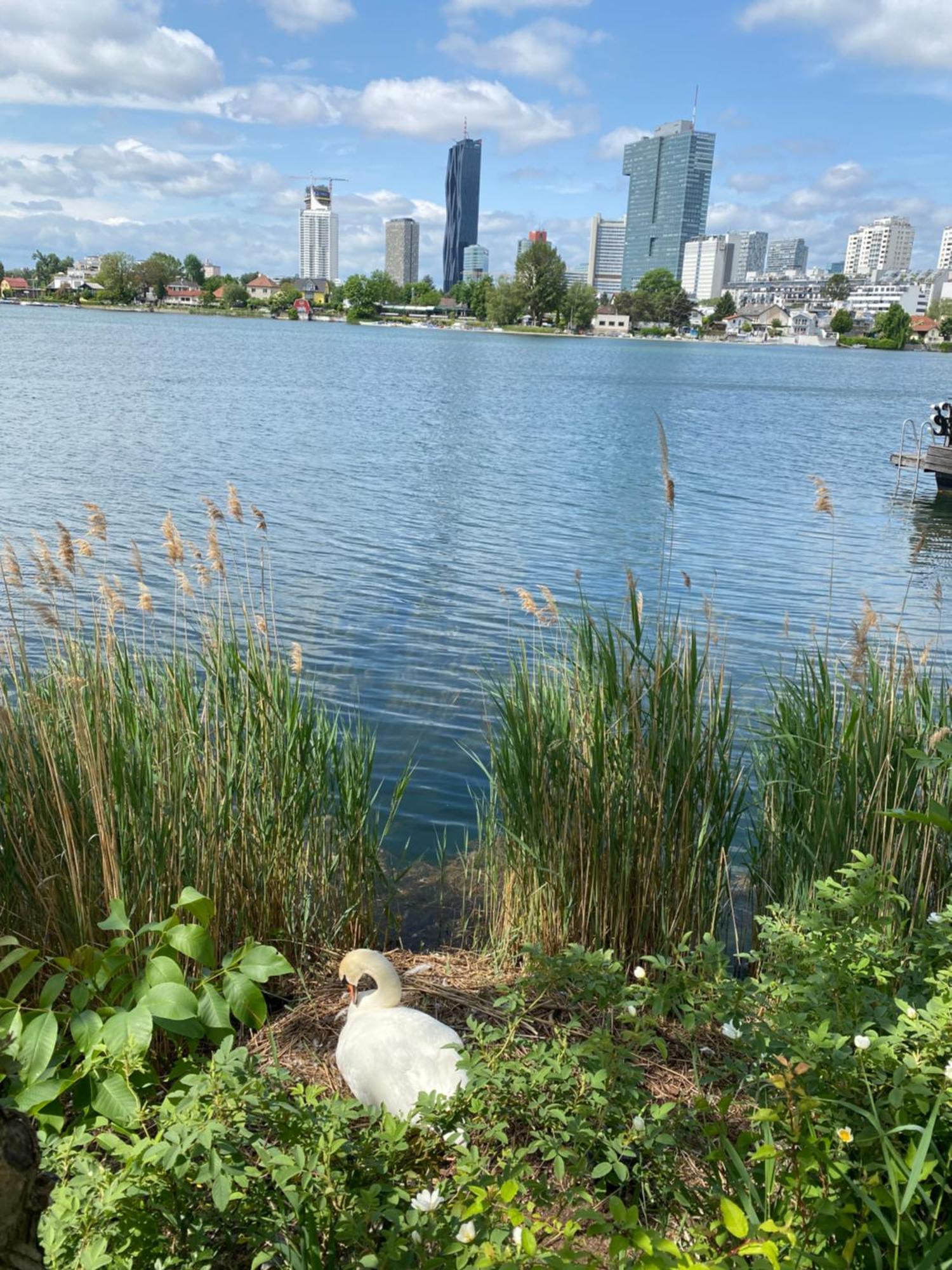 U1 Alte Donau Old Danube City Apartment 2 เวียนนา ภายนอก รูปภาพ